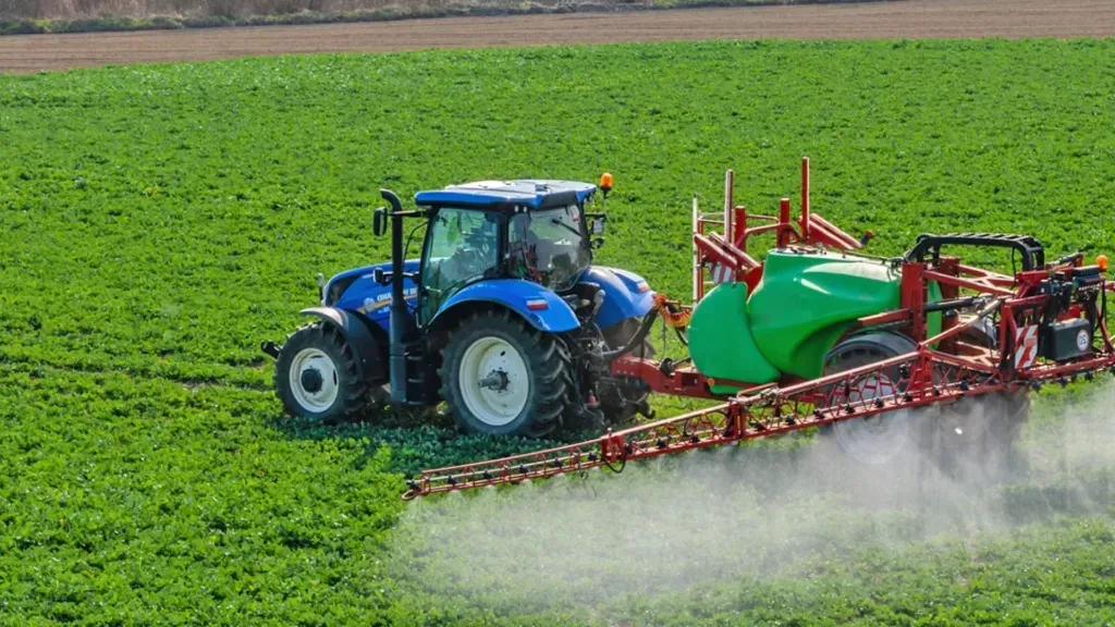 Czym zwalczyć stonkę ziemniaczaną